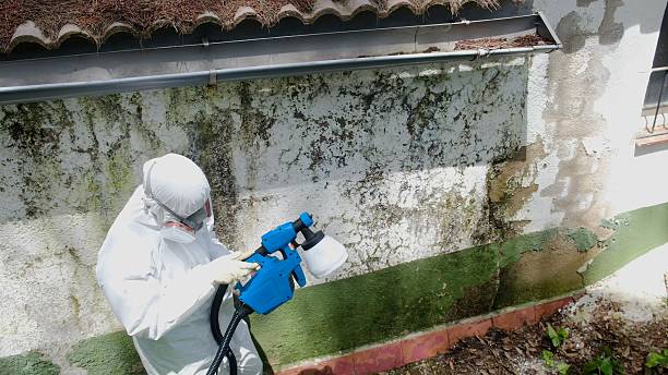 Trusted Commercial Mold Remediation service in Waldwick, NJ - Cheap Mold Removal
